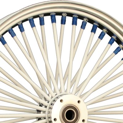 White Spokes and Blue Nipples