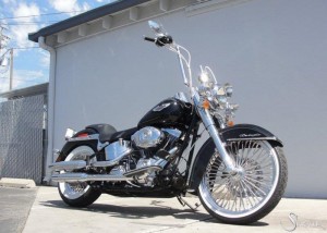 Softails-096