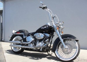 Softails-097