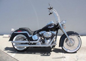 Softails-098