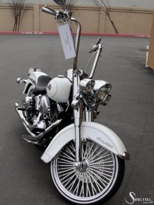 Softails-099