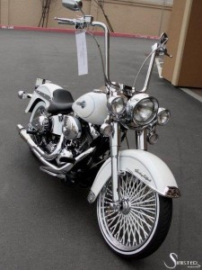 Softails-100