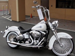 Softails-101