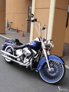 Softails-104