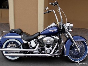 Softails-105