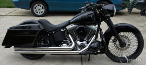 Softails-108