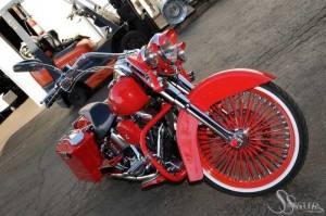 Softails-115