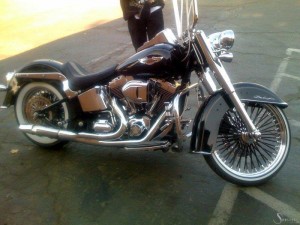 Softails-117